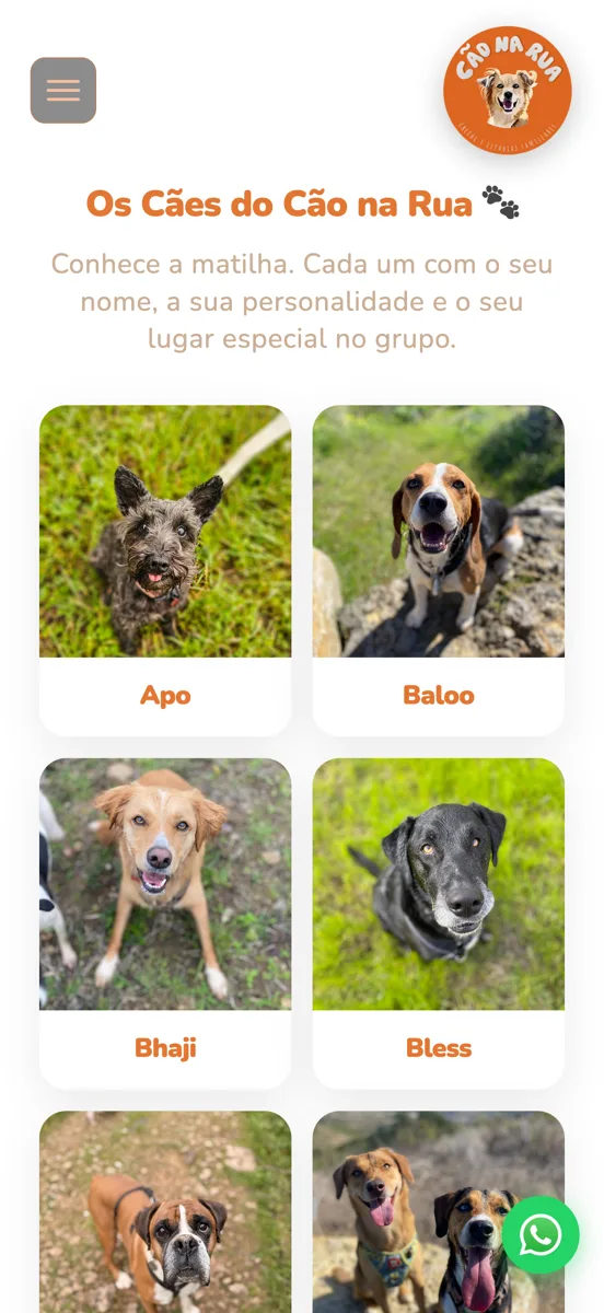 Cão na Rua — design mobile-first que comunica filosofia e cuidado animal